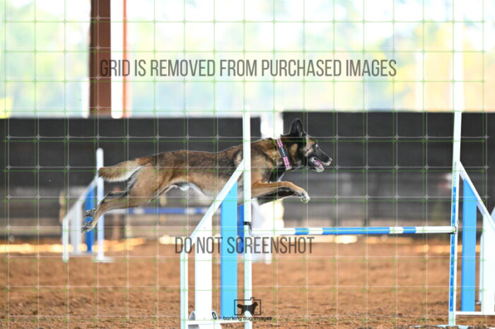 Bauer_Chami_Wednesday_Speedstakes_SemiFinal_263_KG_2803