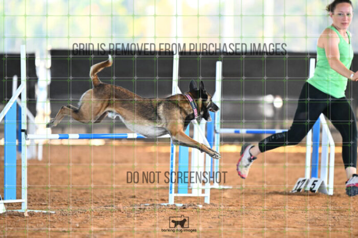 Bauer_Chami_Wednesday_Speedstakes_SemiFinal_263_KG_2806