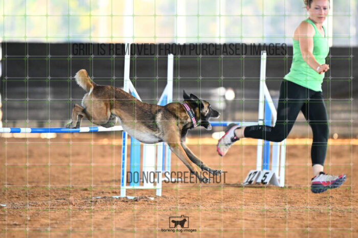 Bauer_Chami_Wednesday_Speedstakes_SemiFinal_263_KG_2807
