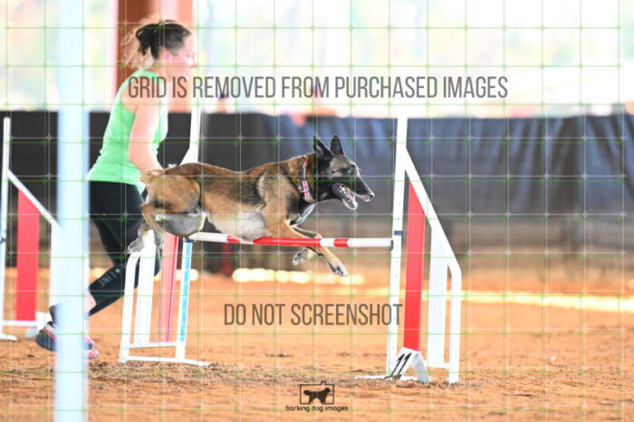 Bauer_Chami_Wednesday_Speedstakes_SemiFinal_263_KG_2818