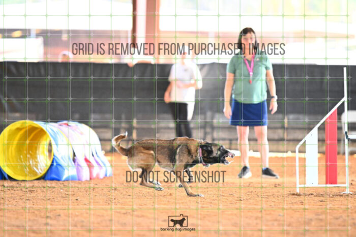 Bauer_Chami_Wednesday_Speedstakes_SemiFinal_263_KG_2854