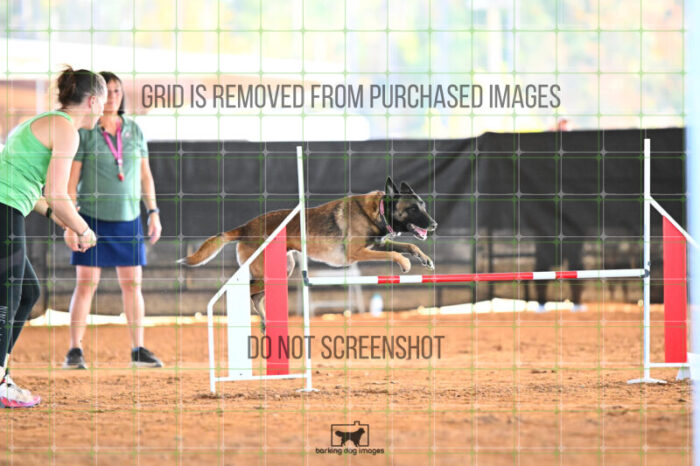 Bauer_Chami_Wednesday_Speedstakes_SemiFinal_263_KG_2865