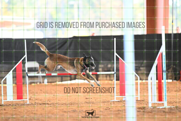 Bauer_Chami_Wednesday_Speedstakes_SemiFinal_263_KG_2868