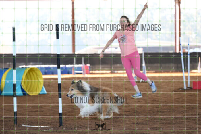 Daisy_Evans_Friday_MastersJumpingFinal_158_AS_2395