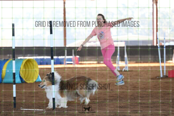 Daisy_Evans_Friday_MastersJumpingFinal_158_AS_2396