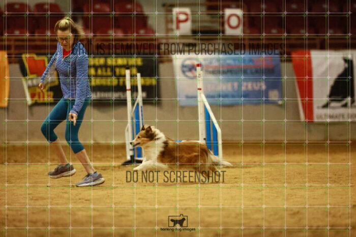 Daisy_Evans_Ring_3_Wednesday_Speedstakes_Semi_Final_103_2_VW_0146