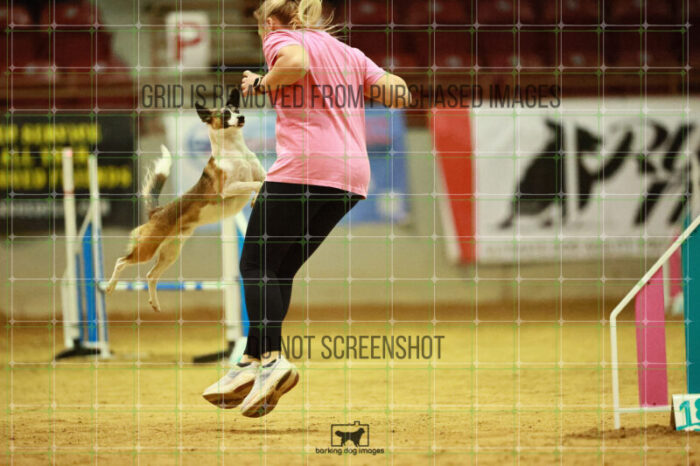 Alfredo_Grunhovd_Ring_3_Wednesday_Speedstakes_Semi_Final_124_VW_1092