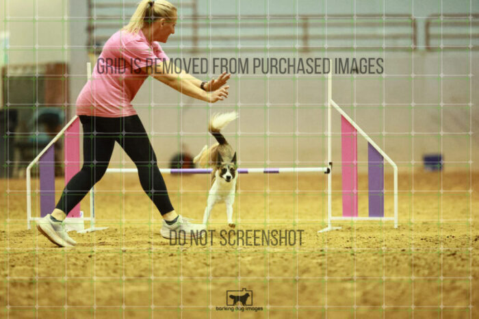 Alfredo_Grunhovd_Round_1_Agility_155_KO_7258