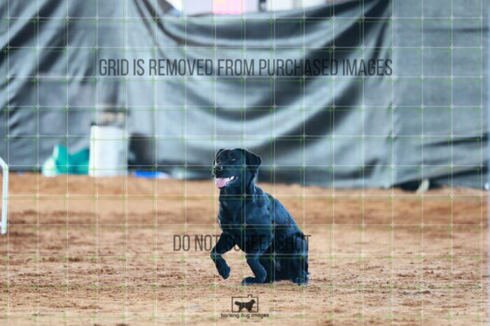 Dare-ya_Mckinney_Ring_6_Wednesday_Speedstakes_SemiFinal_150_JC_1354