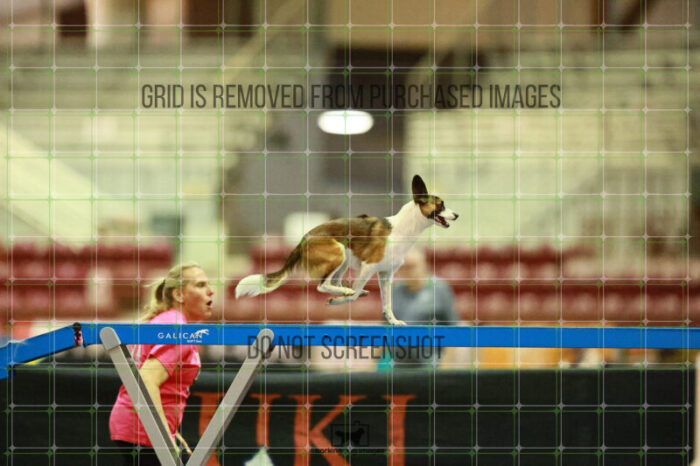 Alfredo_Grunhovd_Saturday_OpenAgility_195_KO_4736