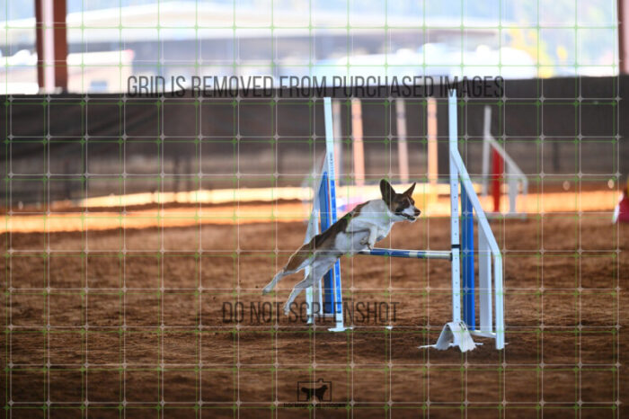 Alfredo_Grunhovd_Thursday_Masters_Jumping_Heat_149_LB_0993