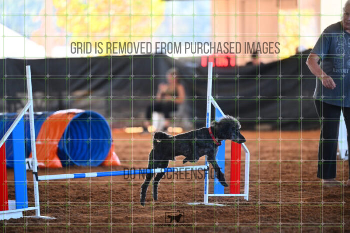 Algut_Hokanson_Thursday_Masters_Jumping_Heat_191_LB_1812