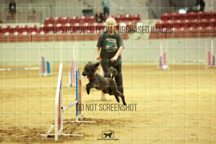 Algut_Hokanson_Wednesday_Speedstakes_Semi_Final_115_RR_0531