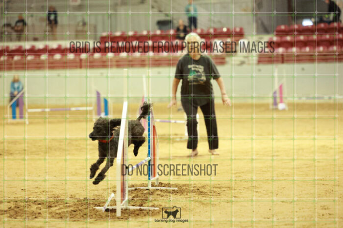 Algut_Hokanson_Wednesday_Speedstakes_Semi_Final_115_RR_0534