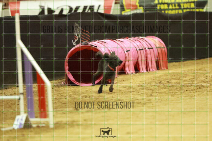 Algut_Hokanson_Wednesday_Speedstakes_Semi_Final_115_RR_0544