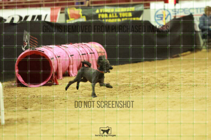 Algut_Hokanson_Wednesday_Speedstakes_Semi_Final_115_RR_0548