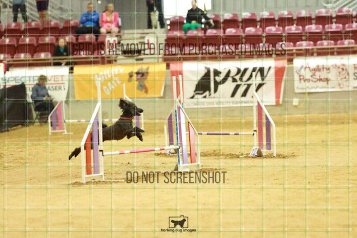 Algut_Hokanson_Wednesday_Speedstakes_Semi_Final_115_RR_0549