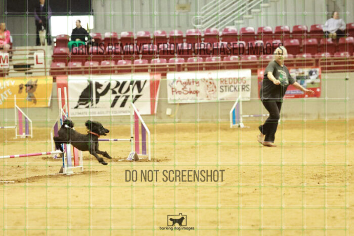 Algut_Hokanson_Wednesday_Speedstakes_Semi_Final_115_RR_0552