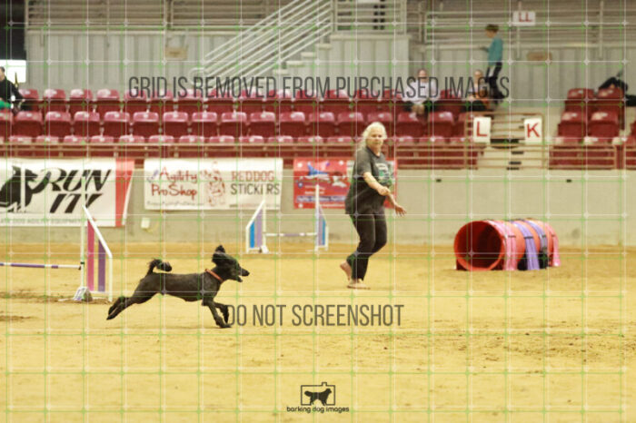 Algut_Hokanson_Wednesday_Speedstakes_Semi_Final_115_RR_0556