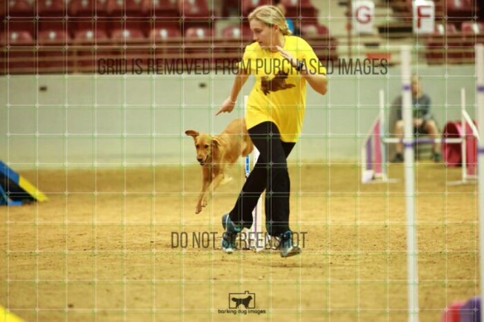 Alita_Stolba_Friday_MastersAgilityFinal_213_NH_4570
