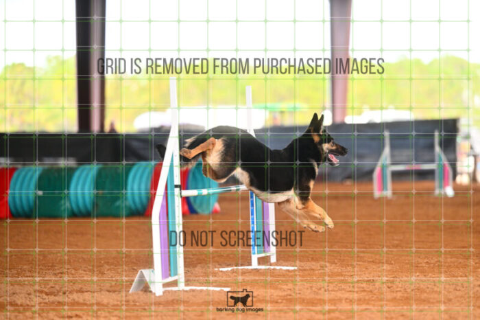 Andarta_Almasy_Friday_MastersJumpingFinal_283_LB_5296