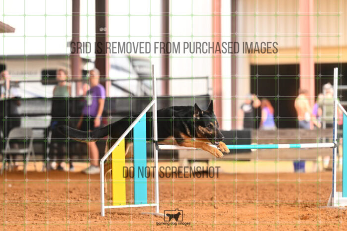Andarta_Almasy_Friday_MastersJumpingFinal_283_LB_5300
