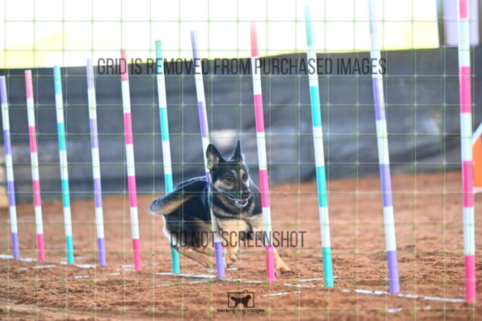 Andarta_Almasy_Saturday_WTAJumping_230_LB_4274