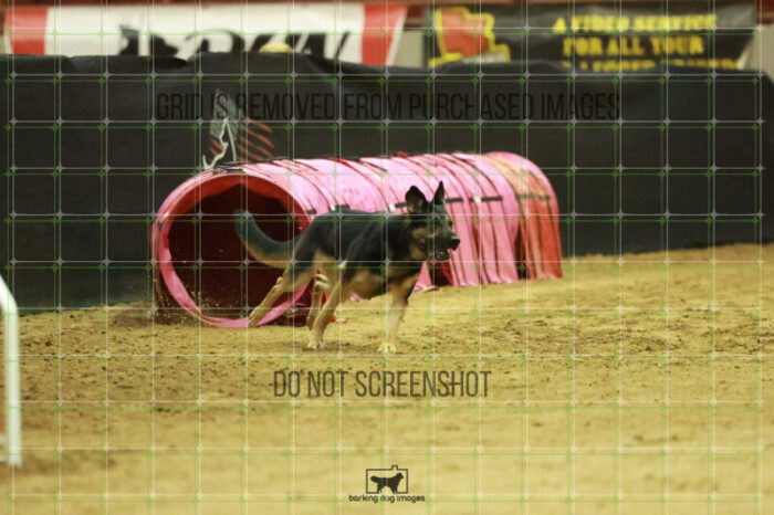 Andarta_Almasy_Wednesday_Speedstakes_Semi_Final_244_RR_5588