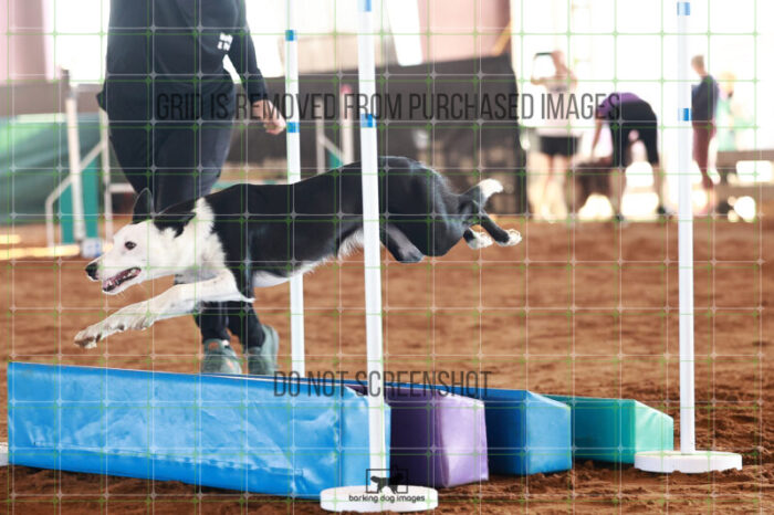 Billie_Jean_Burchsted_Ring_5_Saturday_WTAJumping_152_JC_1735