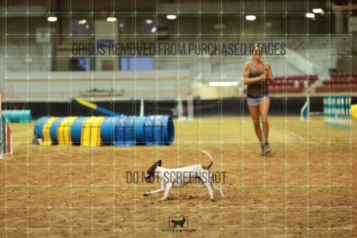 Ariat_Rock_Friday_Gamblers_125_AS_1505