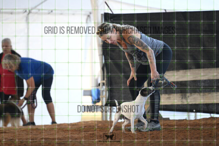 Ariat_Rock_Friday_MastersJumpingFinal_112_AS_0350