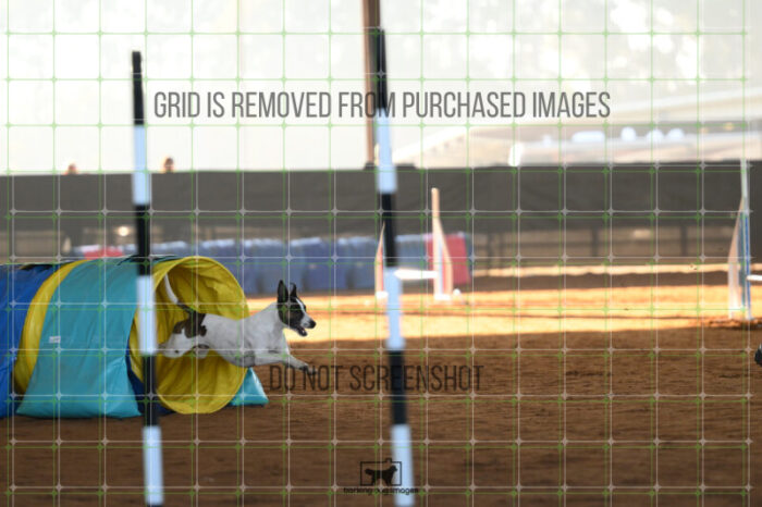 Ariat_Rock_Friday_MastersJumpingFinal_112_AS_0371