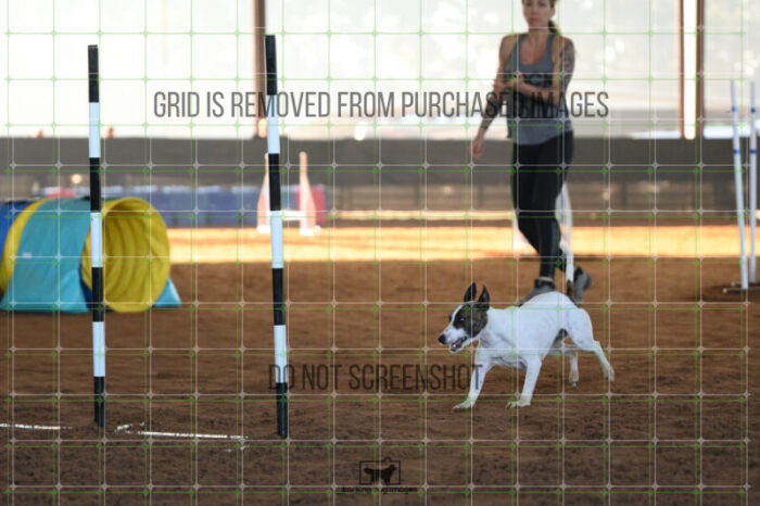 Ariat_Rock_Friday_MastersJumpingFinal_112_AS_0397