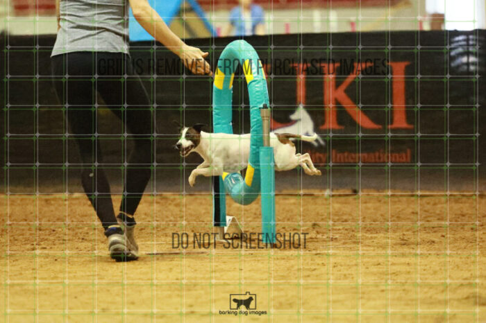 Ariat_Rock_Friday_Round2Jumping_211_KO_1563