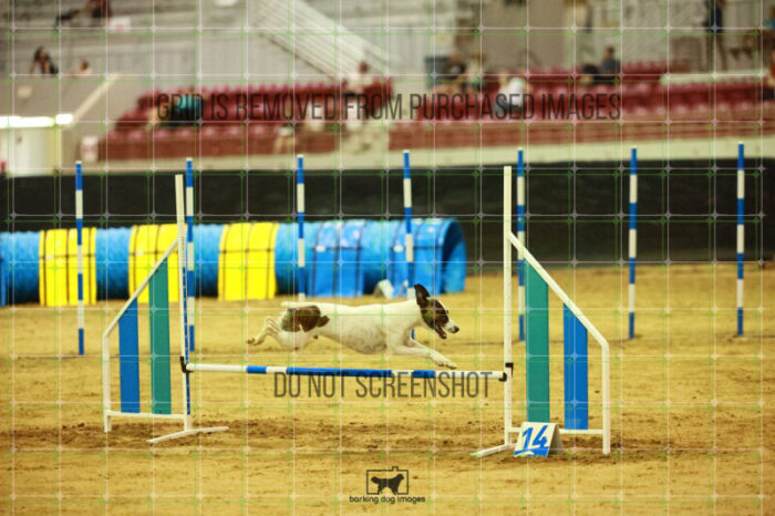 Ariat_Rock_Friday_Round2Jumping_211_KO_1570