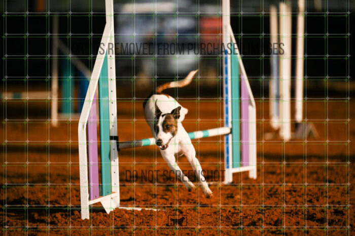Ariat_Rock_Sunday_Challenger_140_AS_0879