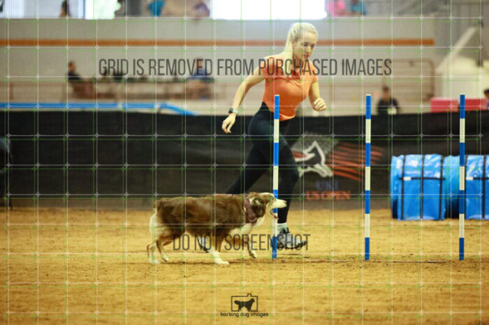 Arya_Avvaru_Friday_Round2Jumping_181_SH_2643