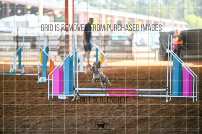 Delaney_OReilly_Biathlon_Jumping_Wednesday_251_LB_3857