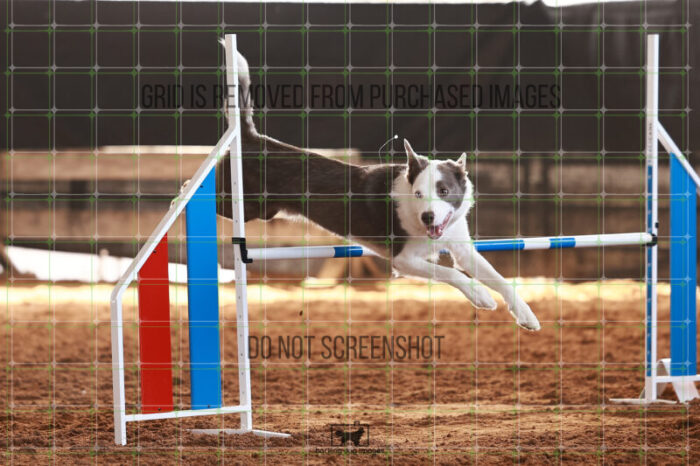 Bizzy_Young_Friday_MastersJumpingFinal_135_JC_1090