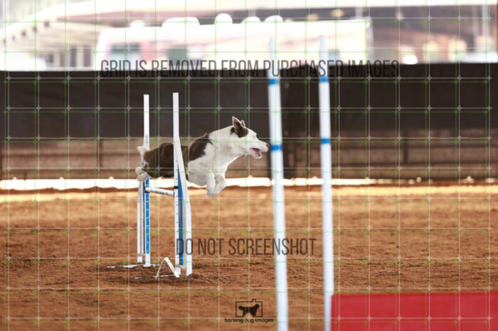 Bizzy_Young_Friday_MastersJumpingFinal_135_JC_1096
