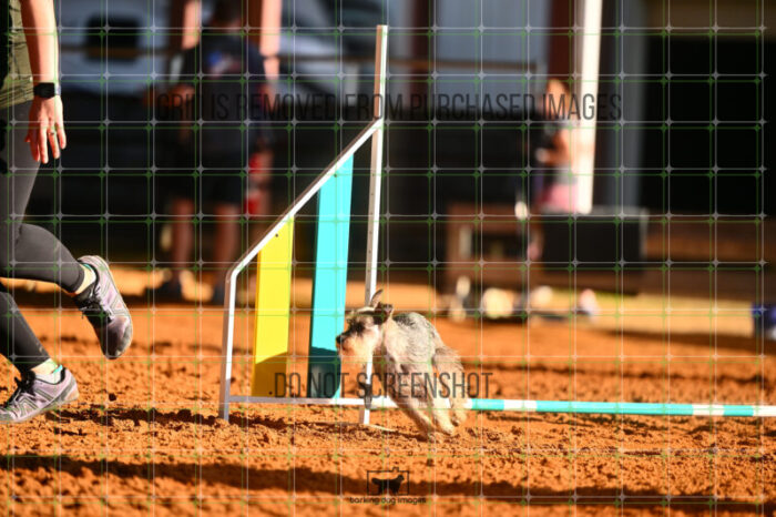 Aurora_Julius_Friday_MastersJumpingFinal_136_LB_1058