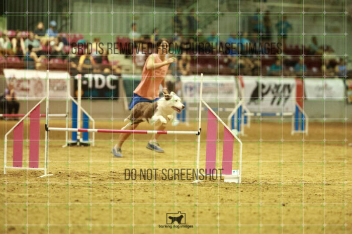 Bizzy_Young_Speedstakes_Finals_199_2031