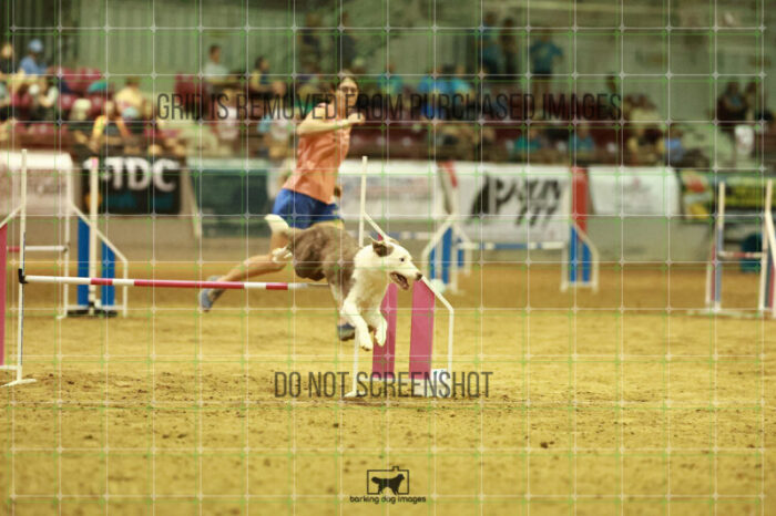 Bizzy_Young_Speedstakes_Finals_199_2033