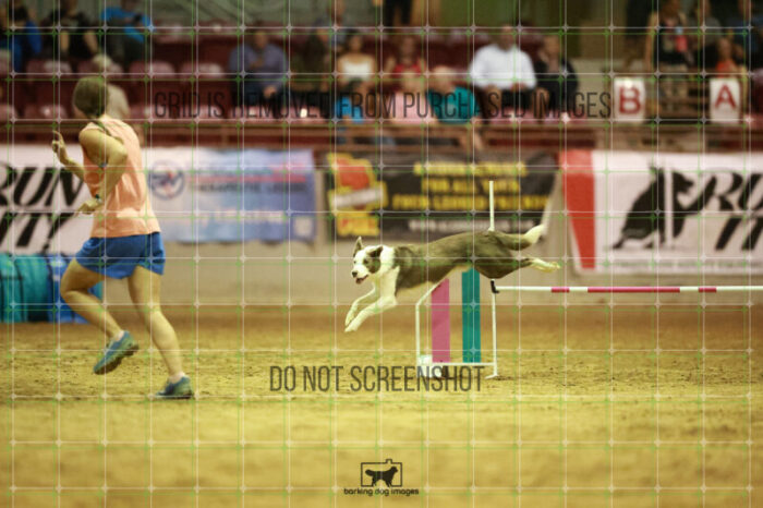 Bizzy_Young_Speedstakes_Finals_199_2042
