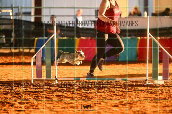 Aurora_Julius_Saturday_WTAJumping_101_LB_0005