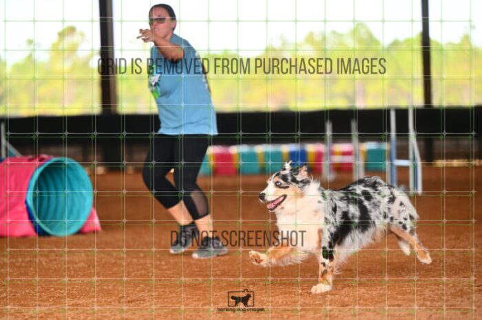 Denali_Linsinbigler_Friday_MastersJumpingFinal_266_LB_4804