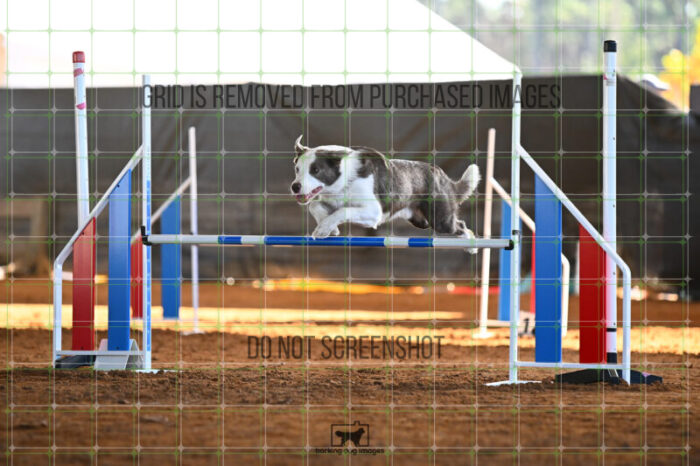 Bizzy_Young_Wednesday_Speedstakes_SemiFinal_276_KG_3916