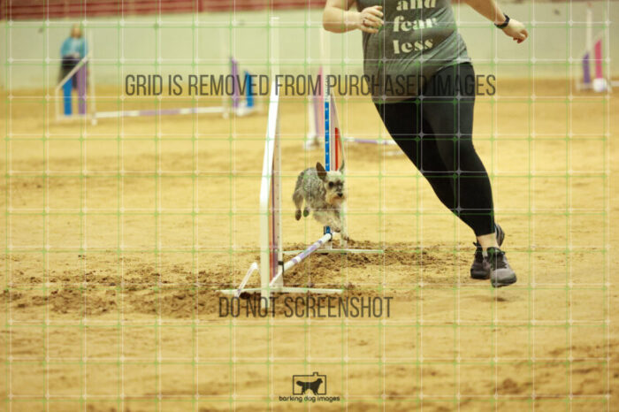Aurora_Julius_Wednesday_Speedstakes_Semi_Final_100_RR_0003
