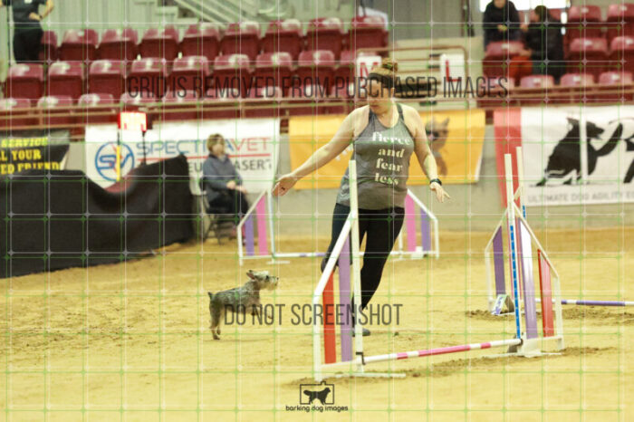 Aurora_Julius_Wednesday_Speedstakes_Semi_Final_100_RR_0025