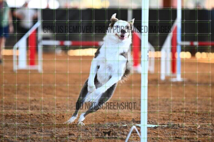 Bizzy_Young_Wednesday_Speedstakes_SemiFinal_276_KG_3926